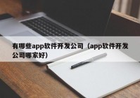 有哪些app软件开发公司（app软件开发公司哪家好）