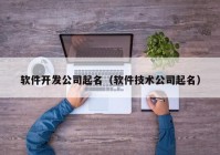 软件开发公司起名（软件技术公司起名）